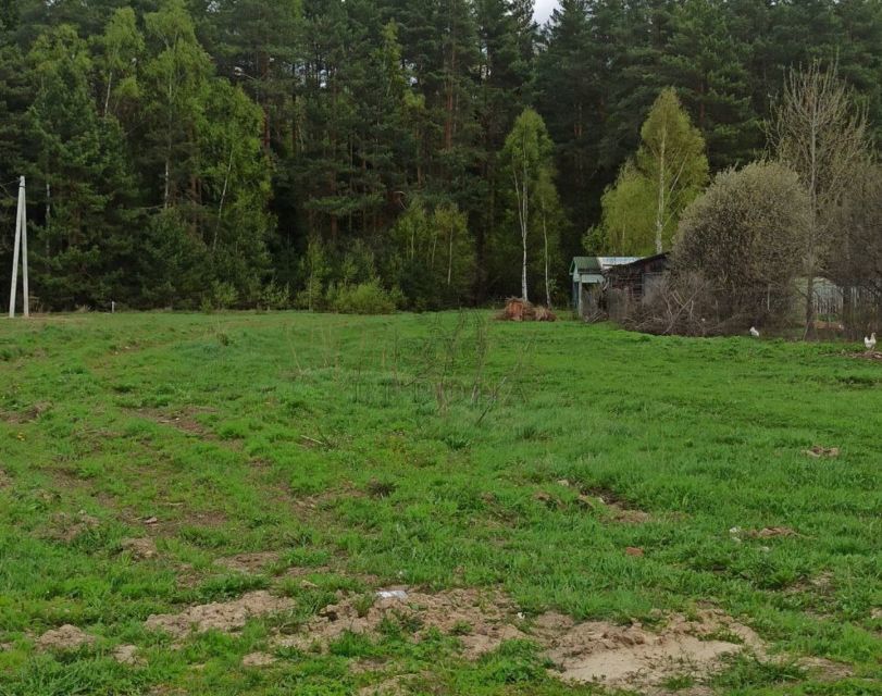 земля городской округ Богородский д Щекавцево ул Лесная фото 6