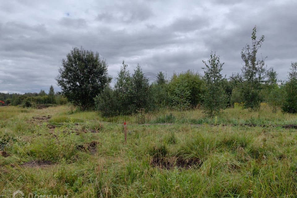 земля городской округ Богородский фото 6