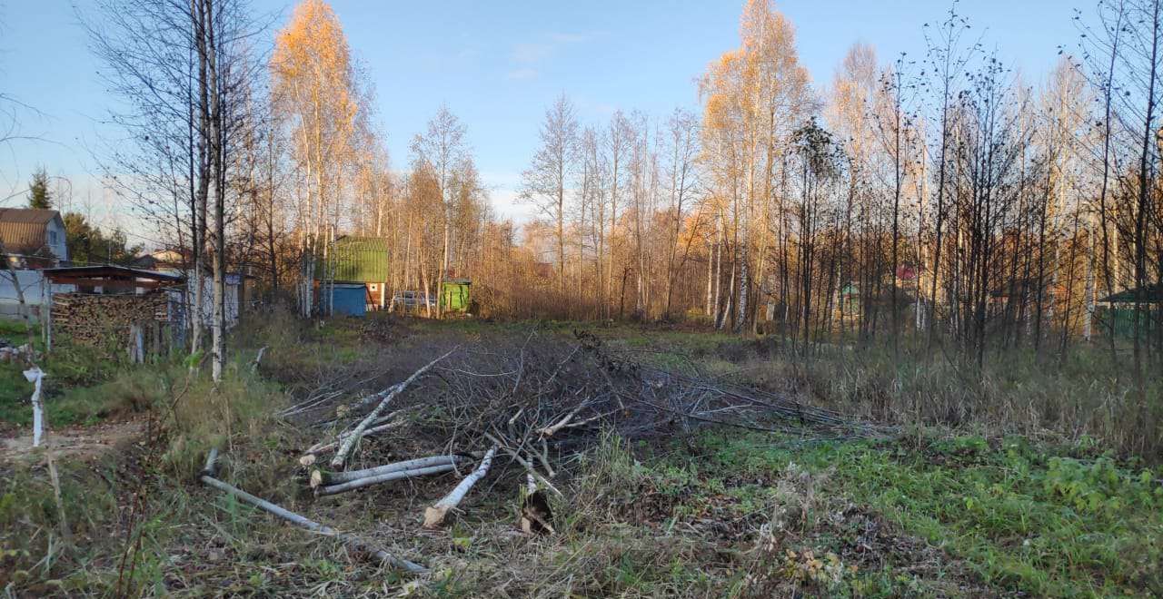 земля городской округ Орехово-Зуевский д Савостьяново снт Текстильщик Дрезна фото 2