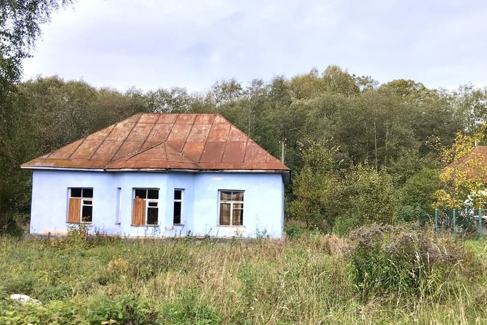 дом р-н Валдайский с Яжелбицы ул Прибалтийская 20 фото 1