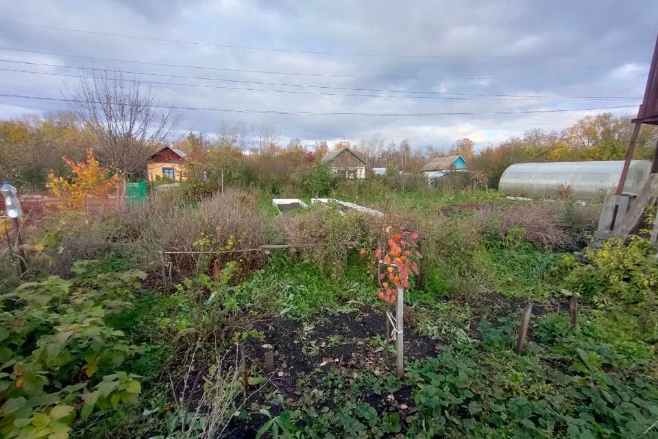 земля г Чебаркуль СНТ Литейщик, Чебаркульский городской округ фото 6