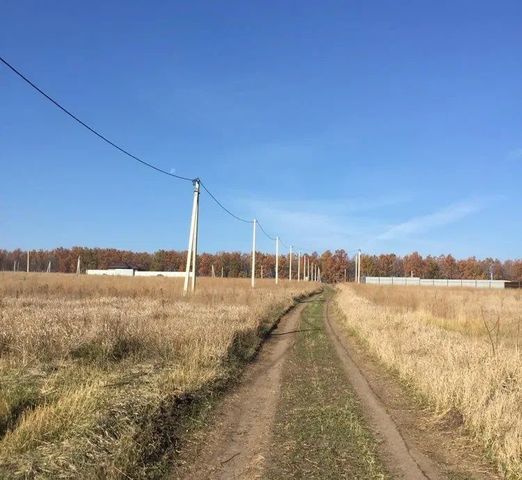 пер Грибной Девицкое сельское поселение, КП Поречье, Воронеж фото