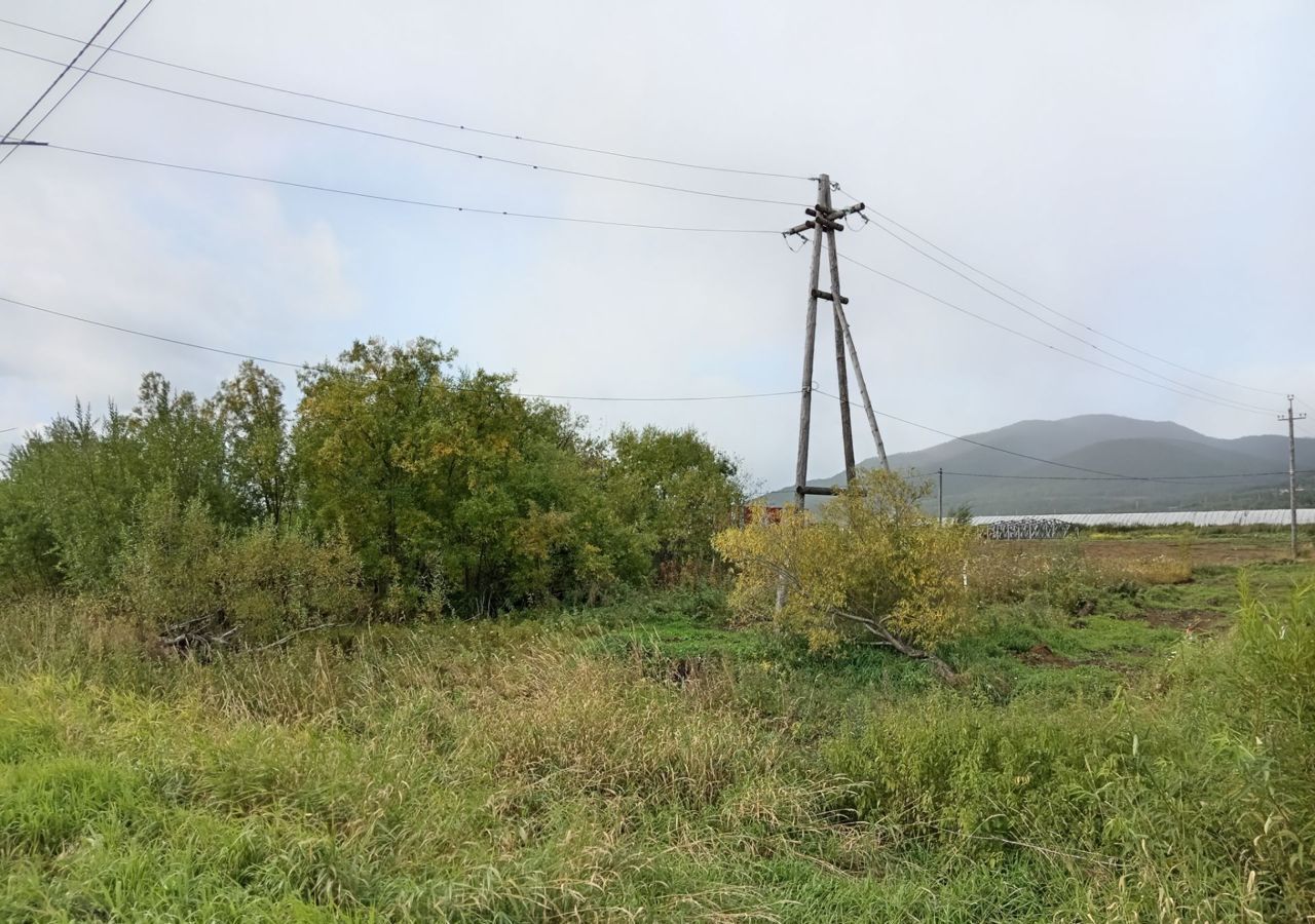 земля р-н Елизовский г Елизово Елизовское городское поселение фото 4