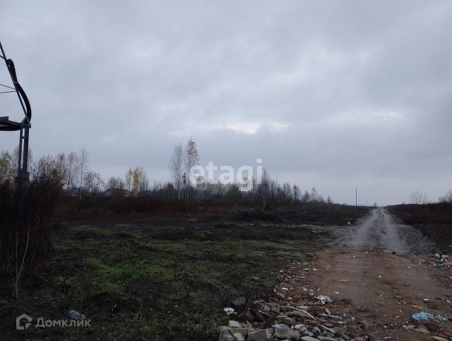 земля р-н Гурьевский п Владимировка ул Васильковая фото 8