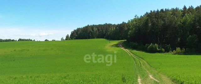 р-н Мокроусовский с Старопершино фото