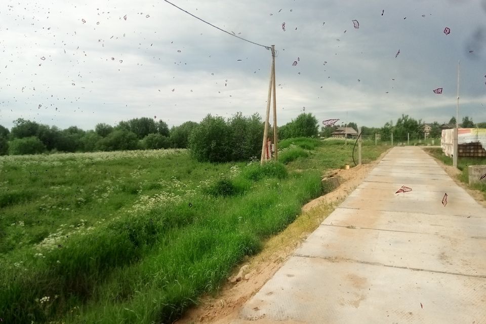 земля р-н Приморский деревня Ижма фото 1