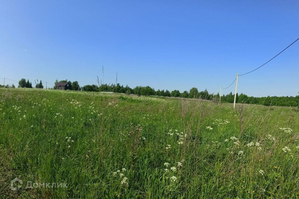 земля р-н Вологодский железнодорожная станция Дикая фото 2