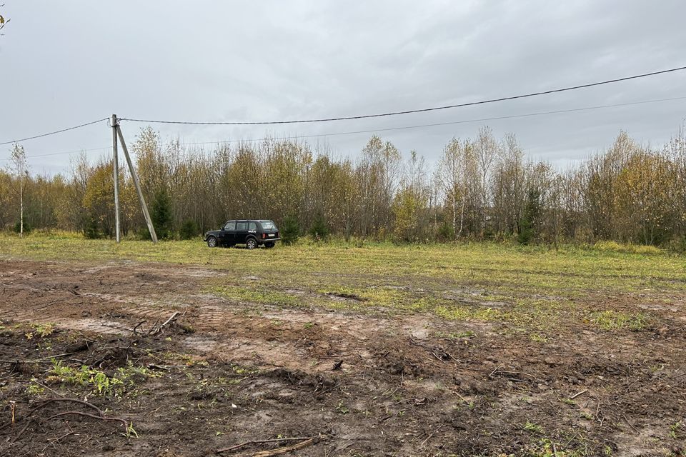 земля р-н Кольчугинский село Большое Кузьминское фото 3