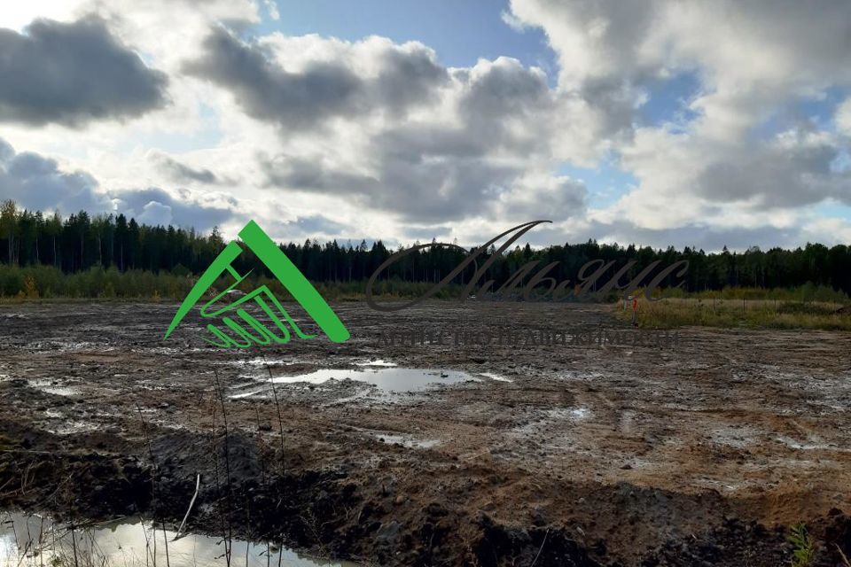 земля г Сосновый Бор Сосновоборский городской округ, коттеджный посёлок Воскресенское фото 5