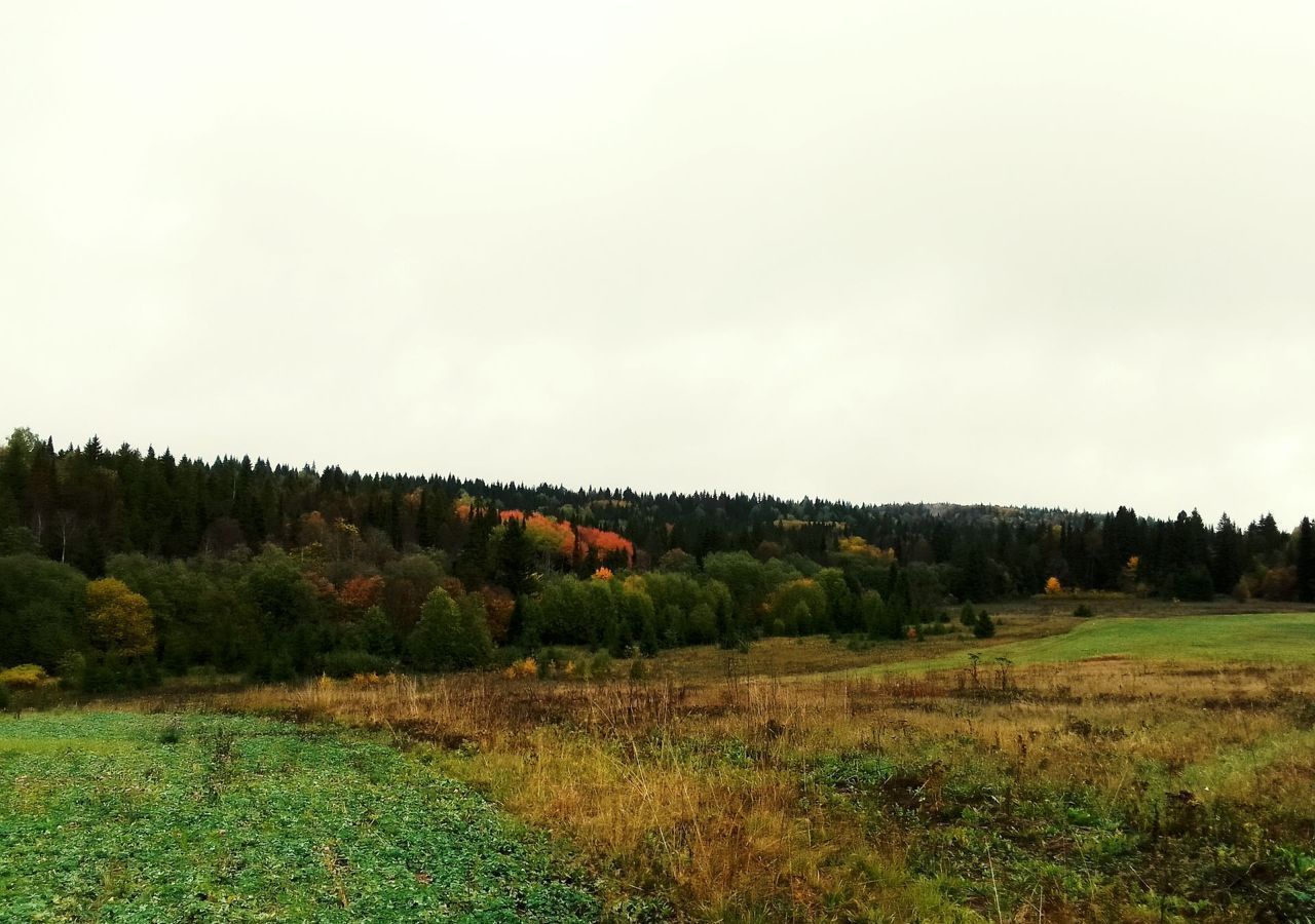 земля р-н Пермский с Гамово Култаевское сельское поселение фото 1