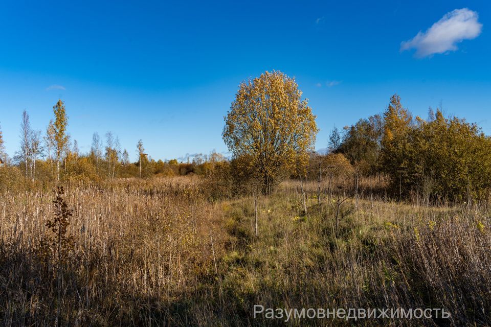 земля р-н Тосненский г Любань ш Московское 32 фото 4