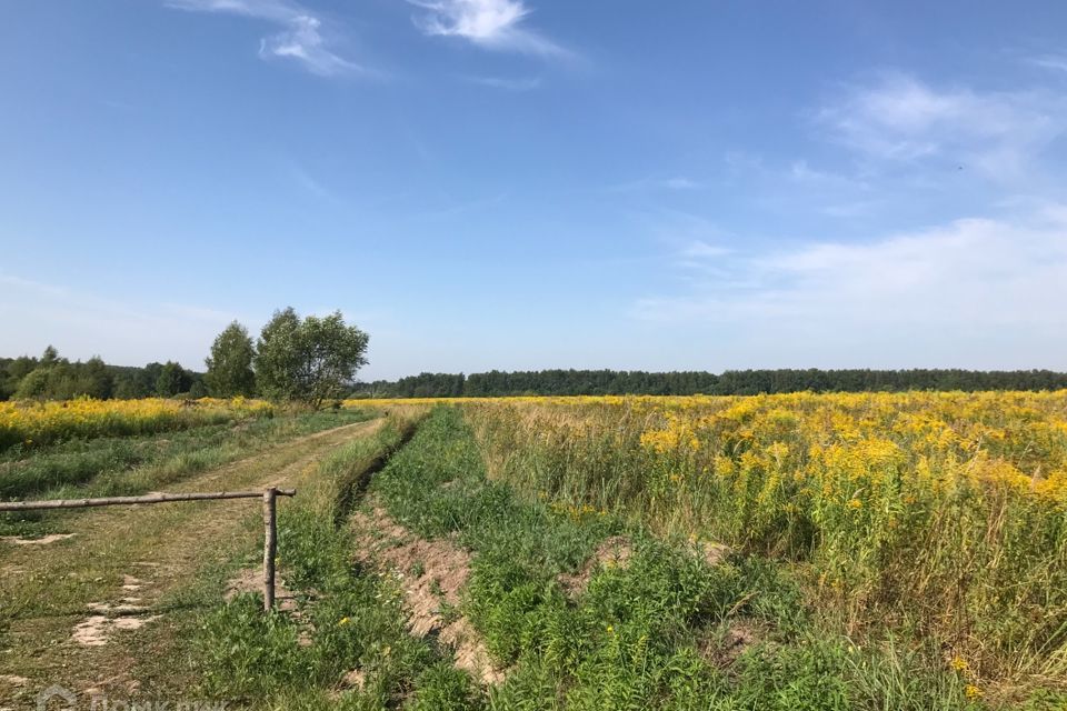 земля р-н Заокский село Турино фото 1