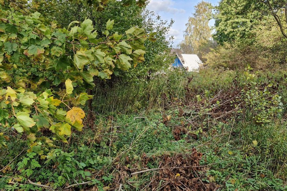 земля г Калининград городской округ Калининград, СНТ Мелиоратор фото 4