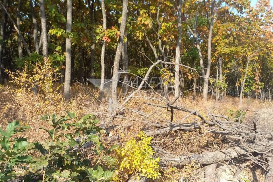 земля Находкинский городской округ, Находка фото 3