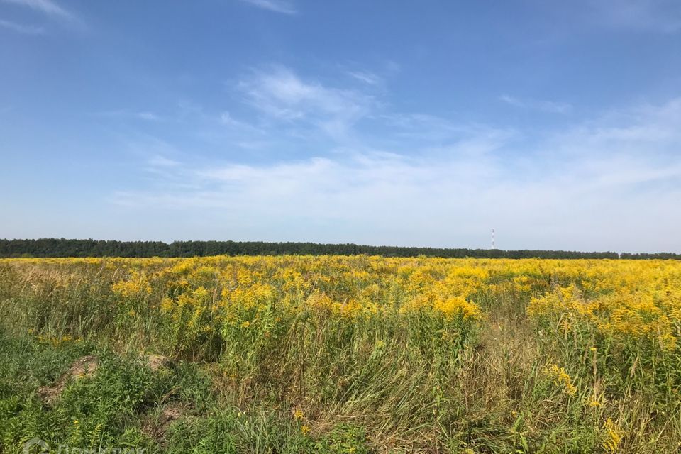 земля р-н Заокский село Турино фото 2