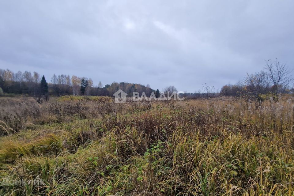 земля городской округ Владимир, Раздольная улица, село Спасское фото 7