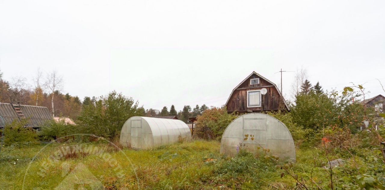 дом р-н Пряжинский снт Полиграфист Эссойльское с/пос, д. Чуйнаволок фото 10