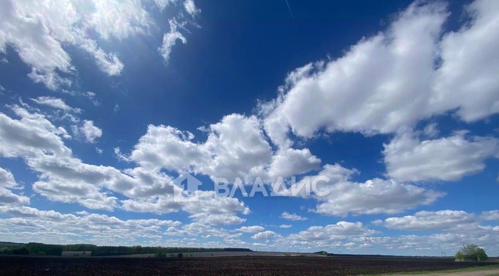 свободного назначения р-н Бессоновский с Блохино ул Молодежная 36 фото 24