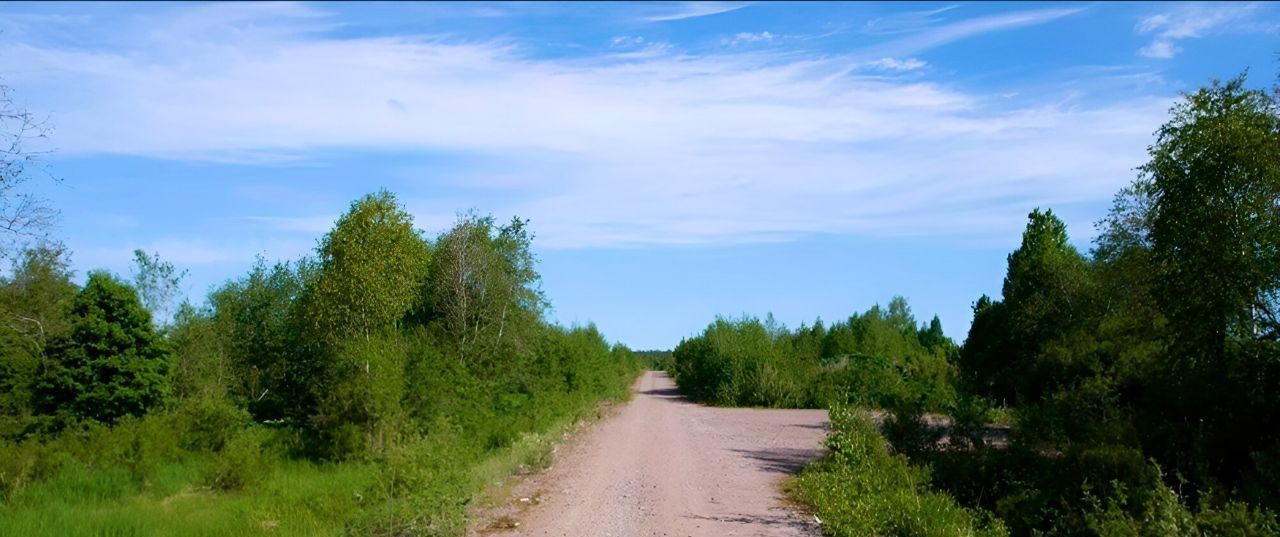 земля р-н Выборгский п Победа Рощинское городское поселение, Коттеджный поселок Победа хут фото 5