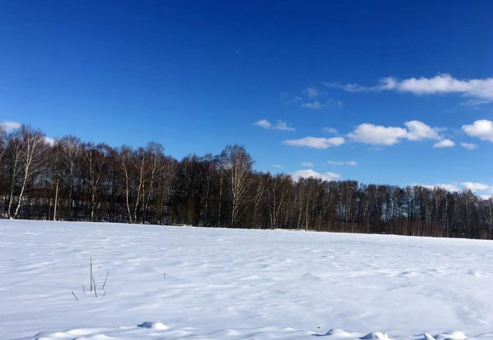 земля городской округ Ступино п Малино садовые участки, г. о. Ступино фото 9