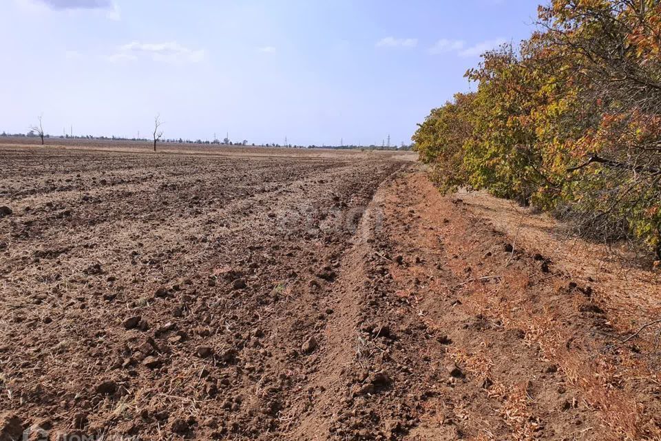 земля р-н Сакский село Орехово фото 7