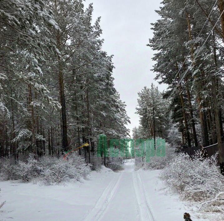 дом р-н Читинский снт 81 Ручейки пр-кт Николаевский фото 11