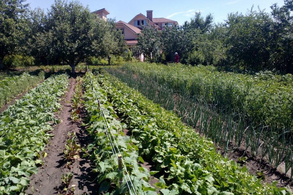 дом р-н Энгельсский снт Ветерок муниципальное образование Саратов, СНТ Ветеран, 8 фото 4