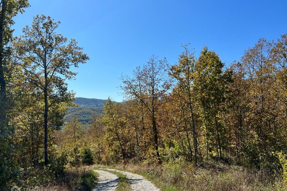 земля муниципальное образование Геленджик, ДНТ Океан фото 1