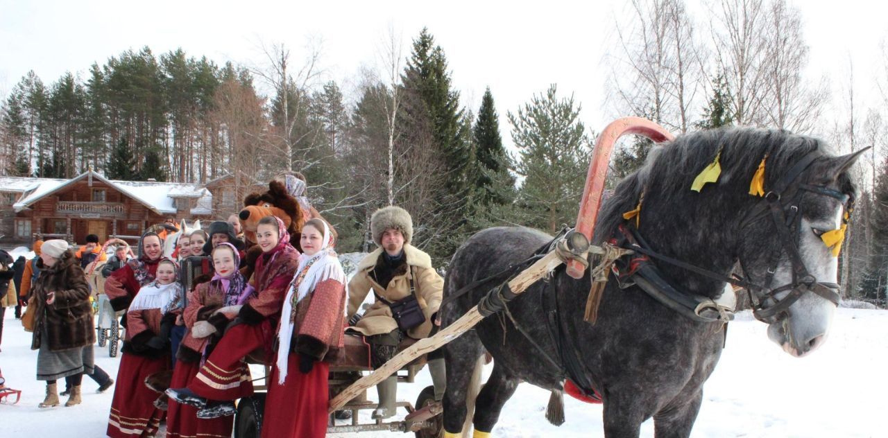 комната р-н Подпорожский г Подпорожье Верхние Мандроги тер фото 26