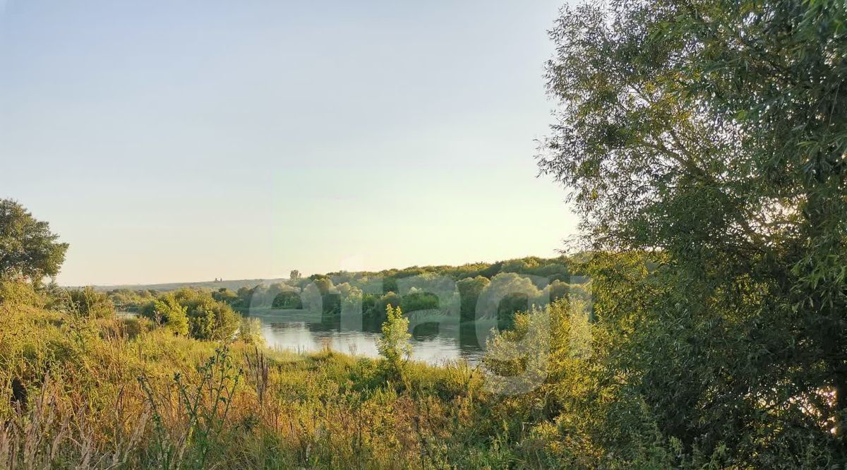 дом р-н Рамонский с Новоживотинное ул Новоселов фото 12