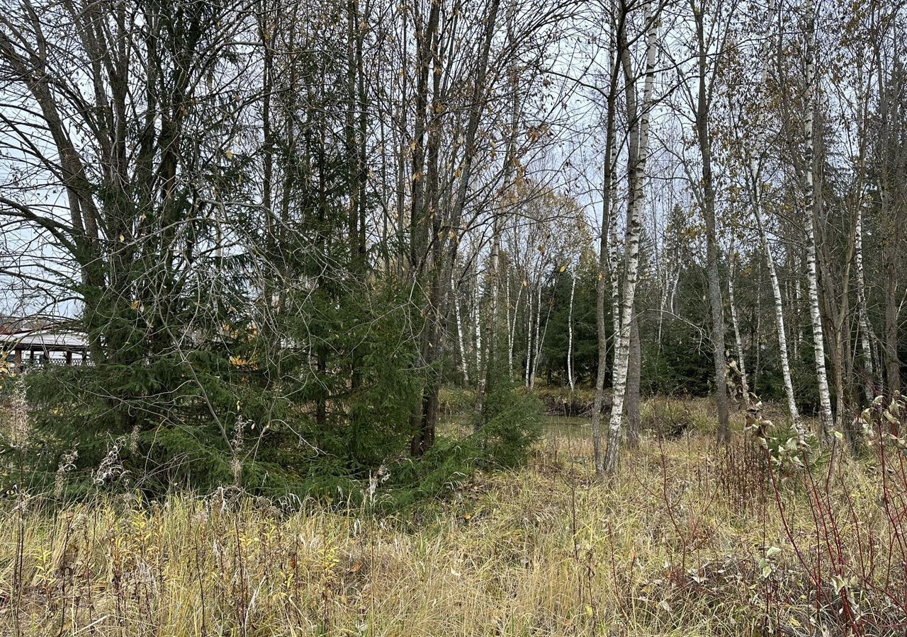 земля городской округ Рузский д Иваново снт Доваторовец Руза фото 5