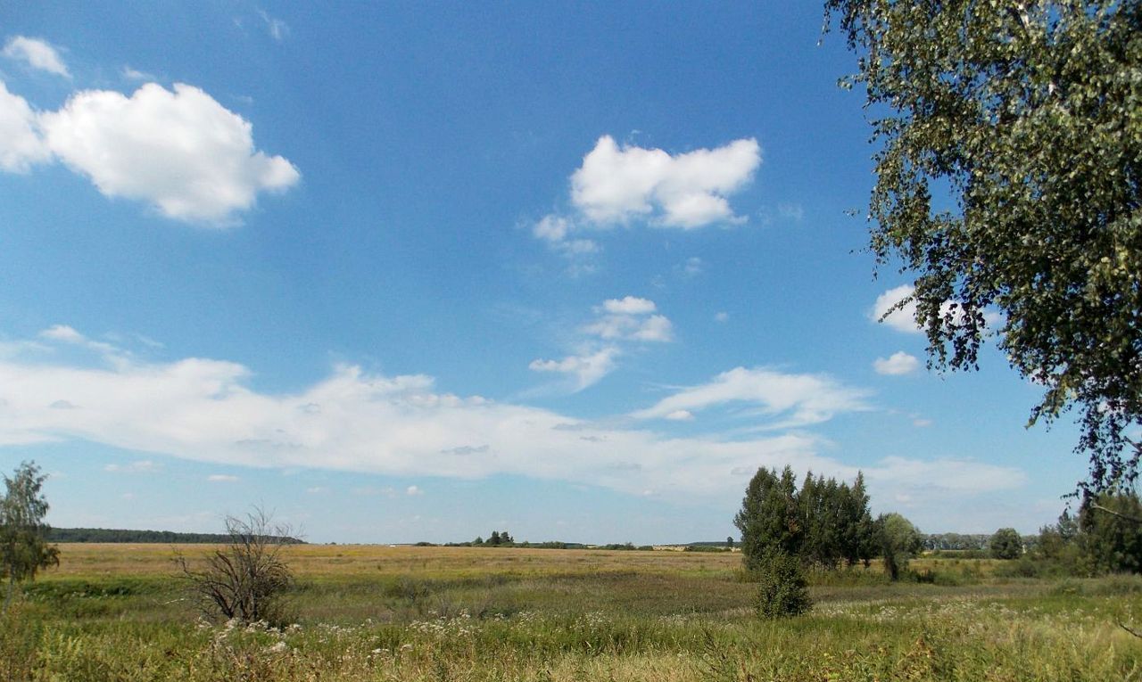 земля р-н Бабынинский сельское поселение Муромцево, Калуга фото 1