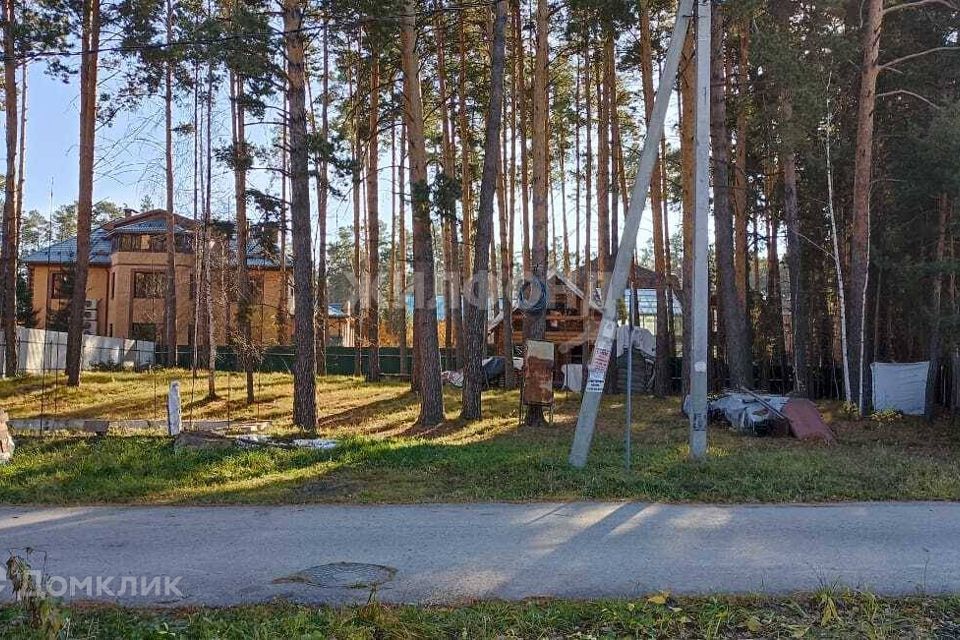 земля р-н Новосибирский дачный посёлок Кудряшовский, улица Лиговка фото 2