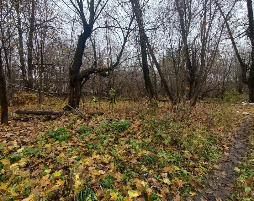 земля р-н Александровский г Струнино ул Фрунзе фото 3