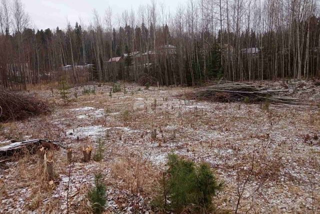 г Ханты-Мансийск СОК Аграрник-2, городской округ Ханты-Мансийск фото