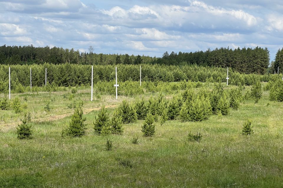 земля р-н Белоярский ДНП Ясная Горка фото 1