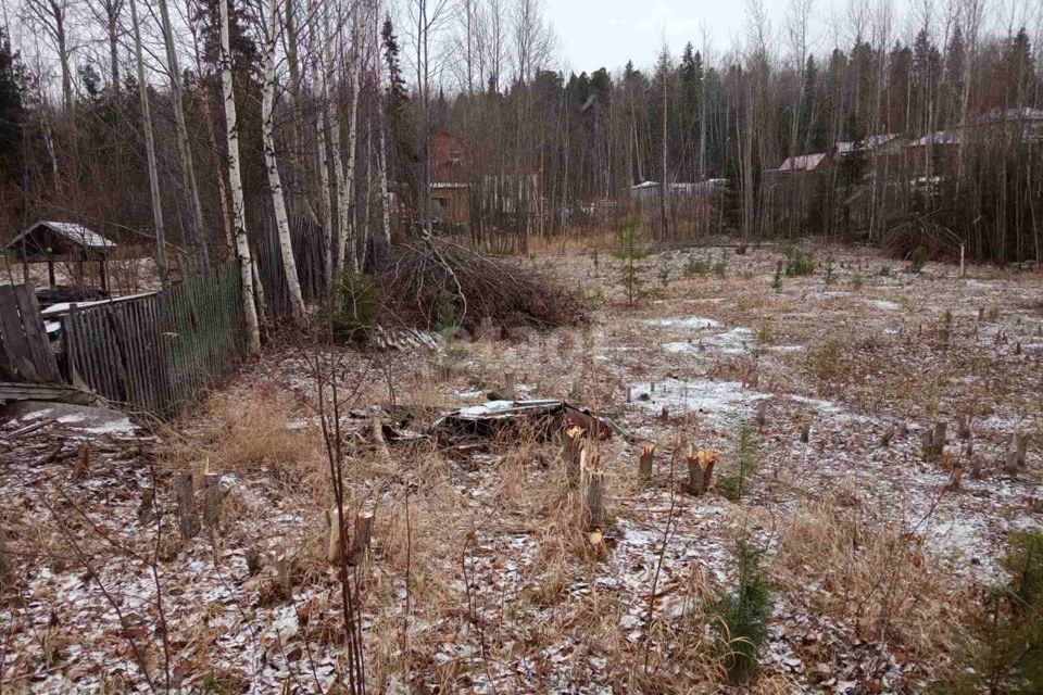 земля г Ханты-Мансийск СОК Аграрник-2, городской округ Ханты-Мансийск фото 2