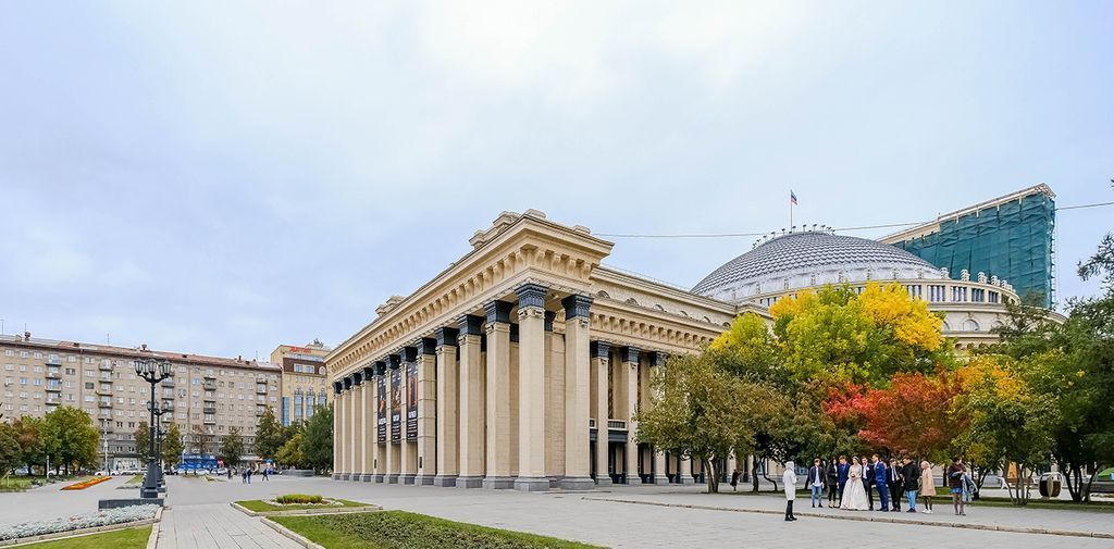 квартира г Новосибирск метро Площадь Гарина-Михайловского ул Челюскинцев 14/1 фото 29