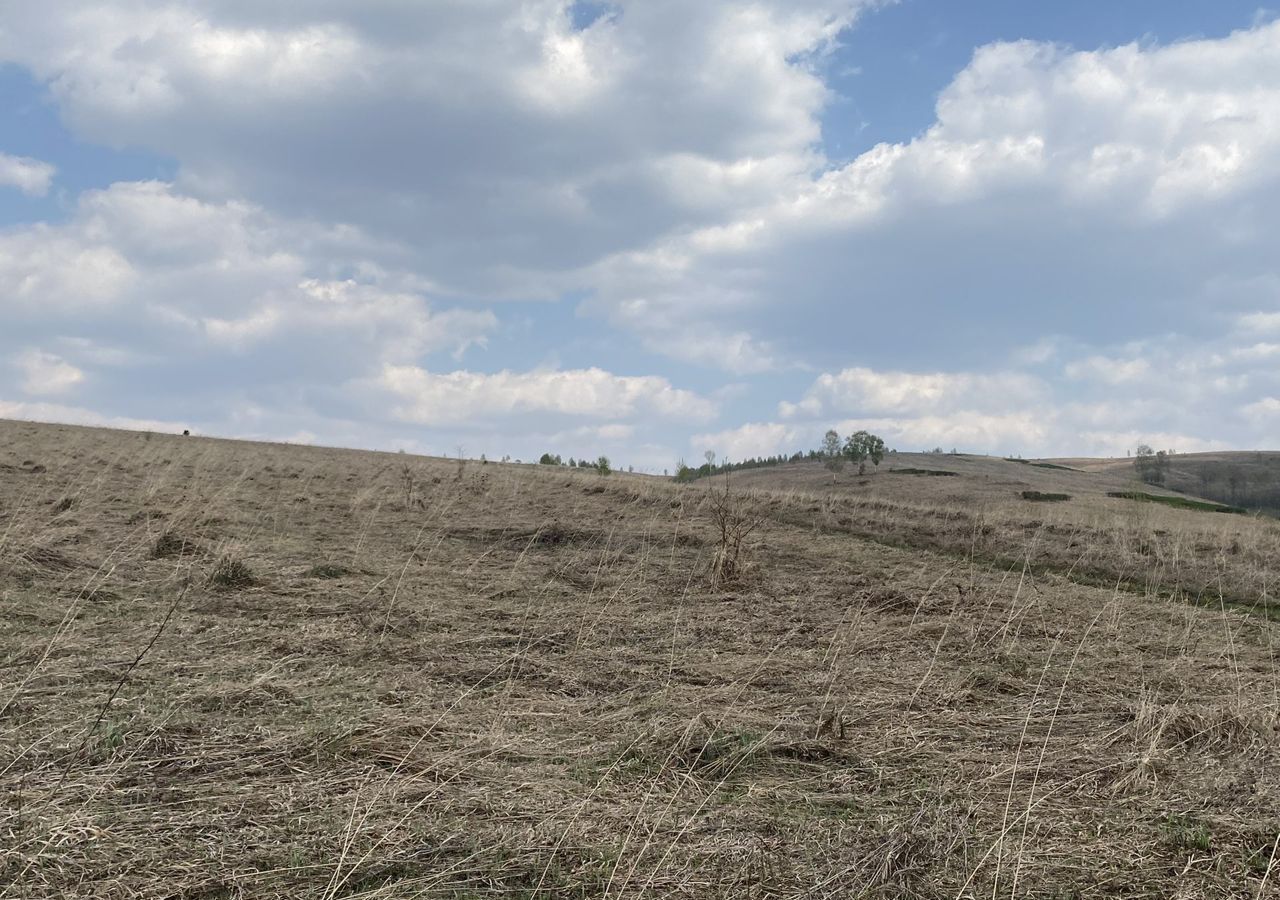 земля р-н Новокузнецкий снт Агломератчик 13-я ул, Новокузнецк фото 30