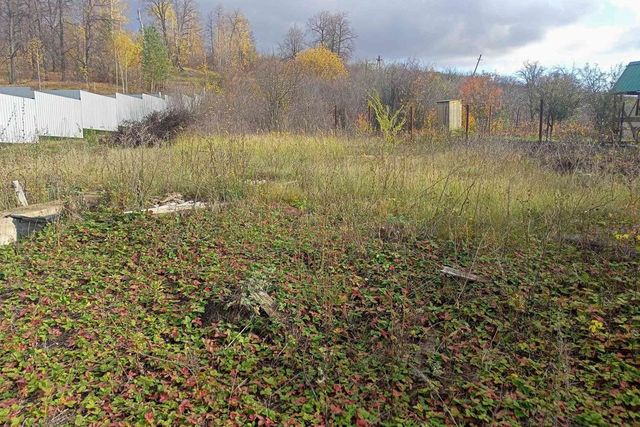 городской округ Казань, садоводческое товарищество Залесный фото