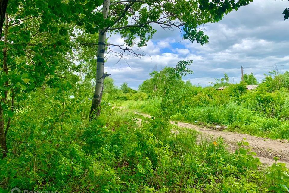 земля р-н Хабаровский с Виноградовка ул Аверьяновская фото 6