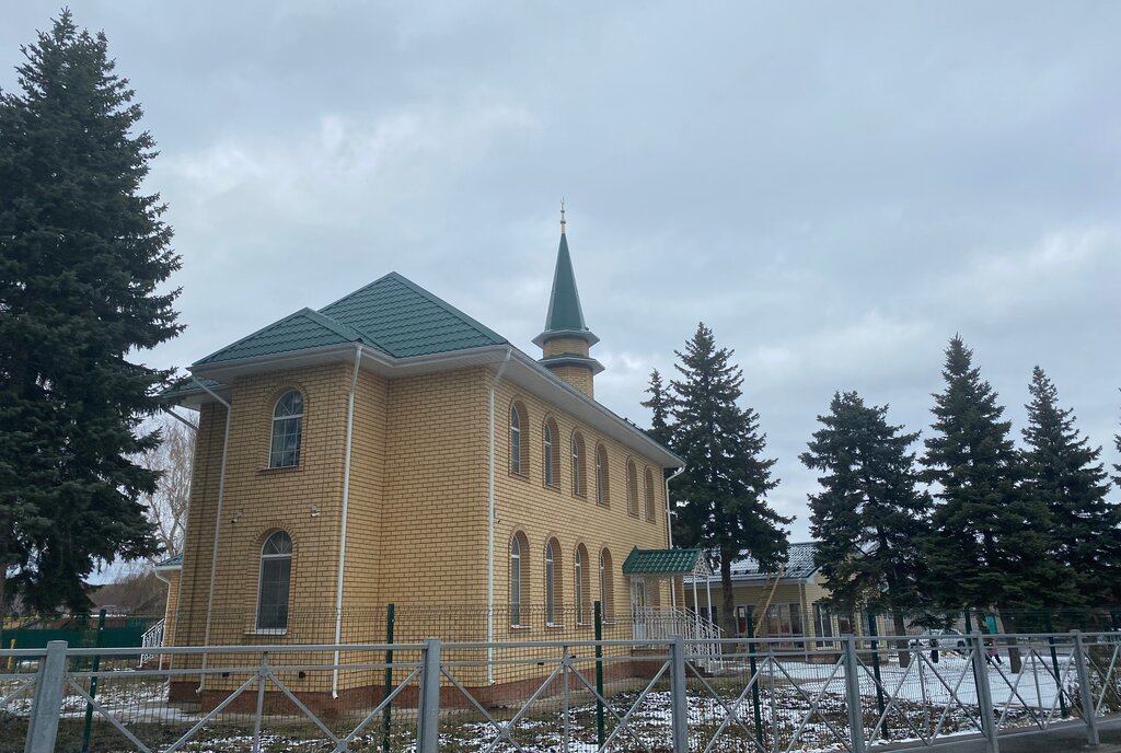 земля р-н Пестречинский с Богородское ул Центральная Проспект Победы фото 8