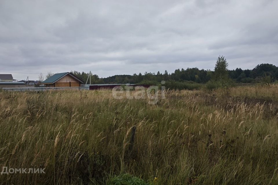 земля р-н Богородский д Инютино ул Инютинская 70 фото 3