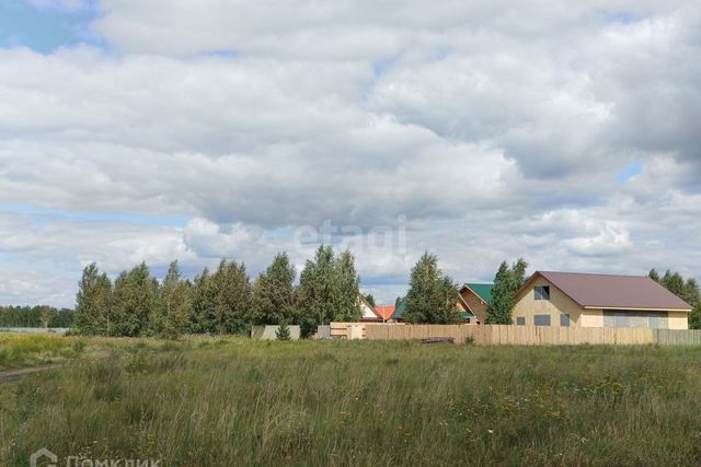 земля деревня Шкодинское фото