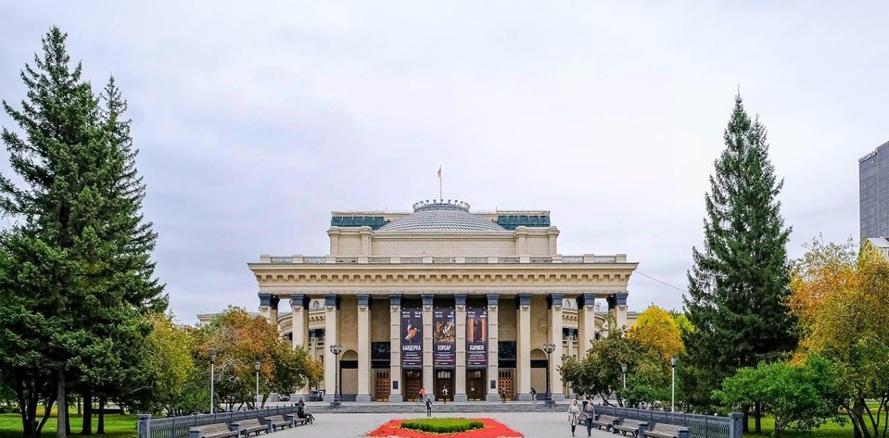 квартира г Новосибирск метро Площадь Гарина-Михайловского ул Челюскинцев 14/1 фото 47