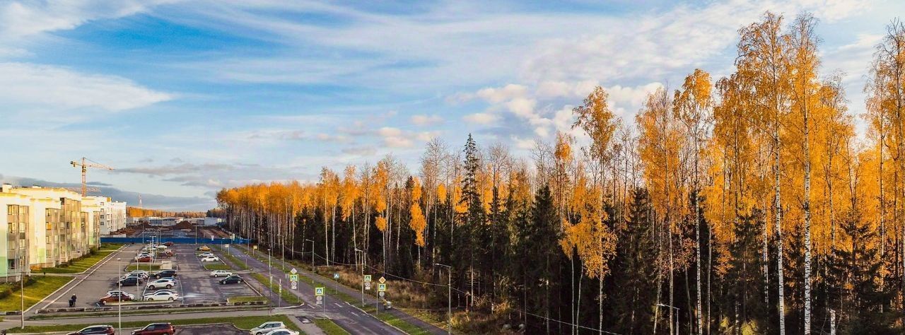 квартира р-н Всеволожский г Сертолово Парнас, Новое Сертолово жилой комплекс фото 30