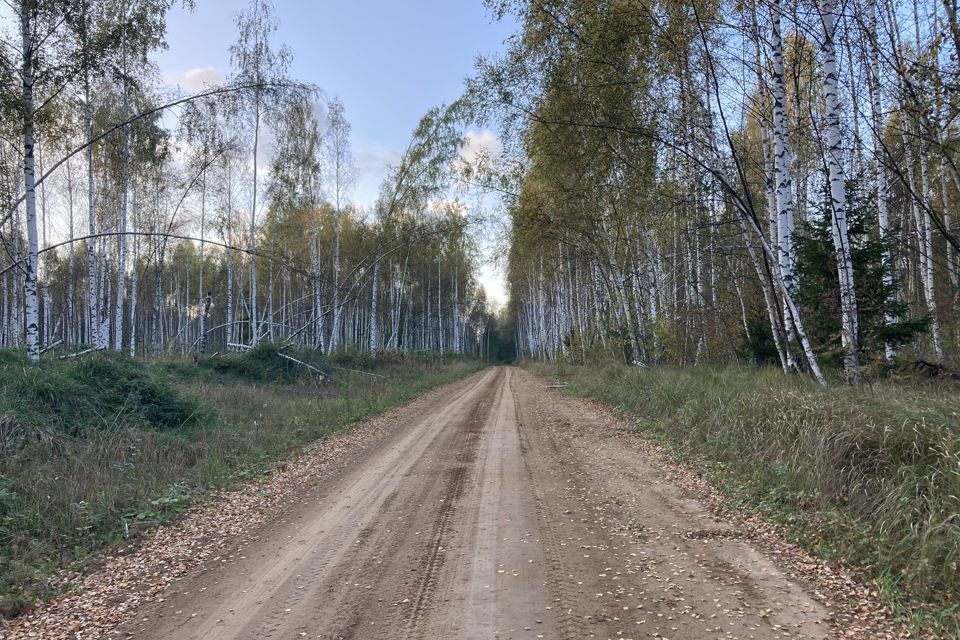 дом р-н Калязинский с/п Нерльское д Красная Горка 30 фото 3