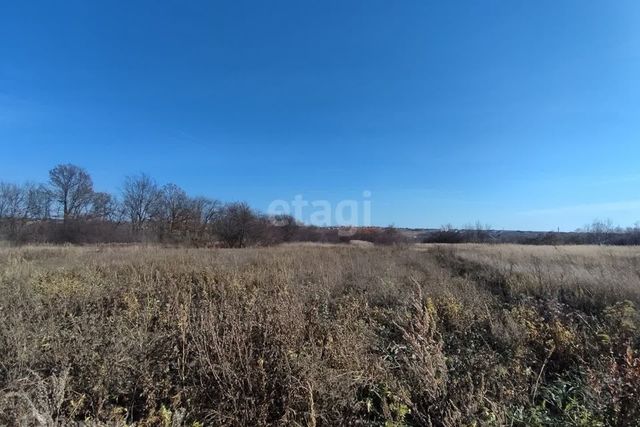 муниципальное образование Белгород, балка Крутой Лог фото