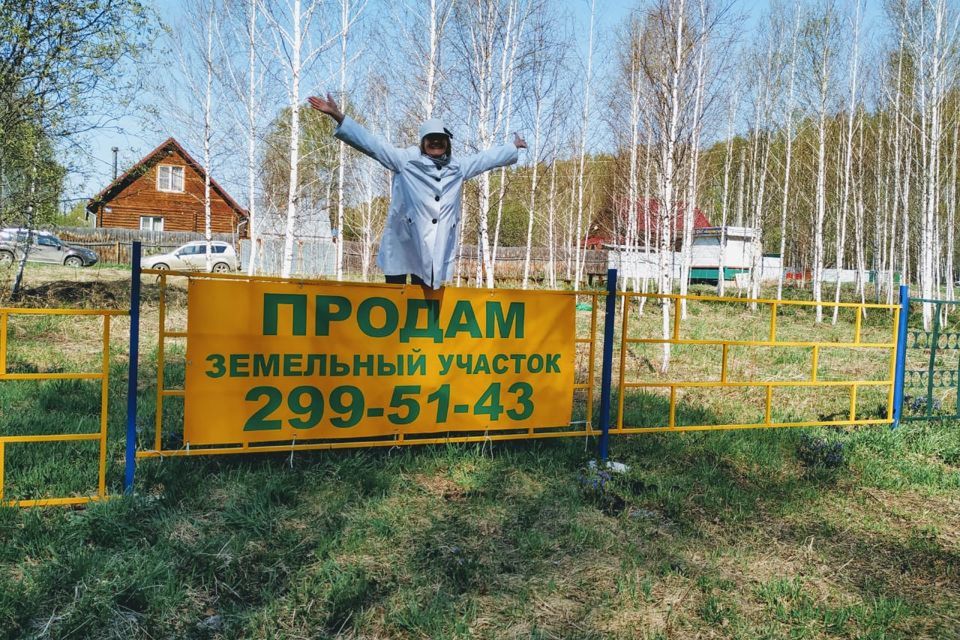 земля р-н Новосибирский садовое товарищество Боровушка фото 3