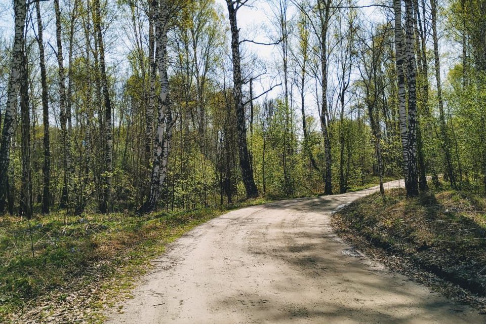 земля р-н Новосибирский садовое товарищество Боровушка фото 2